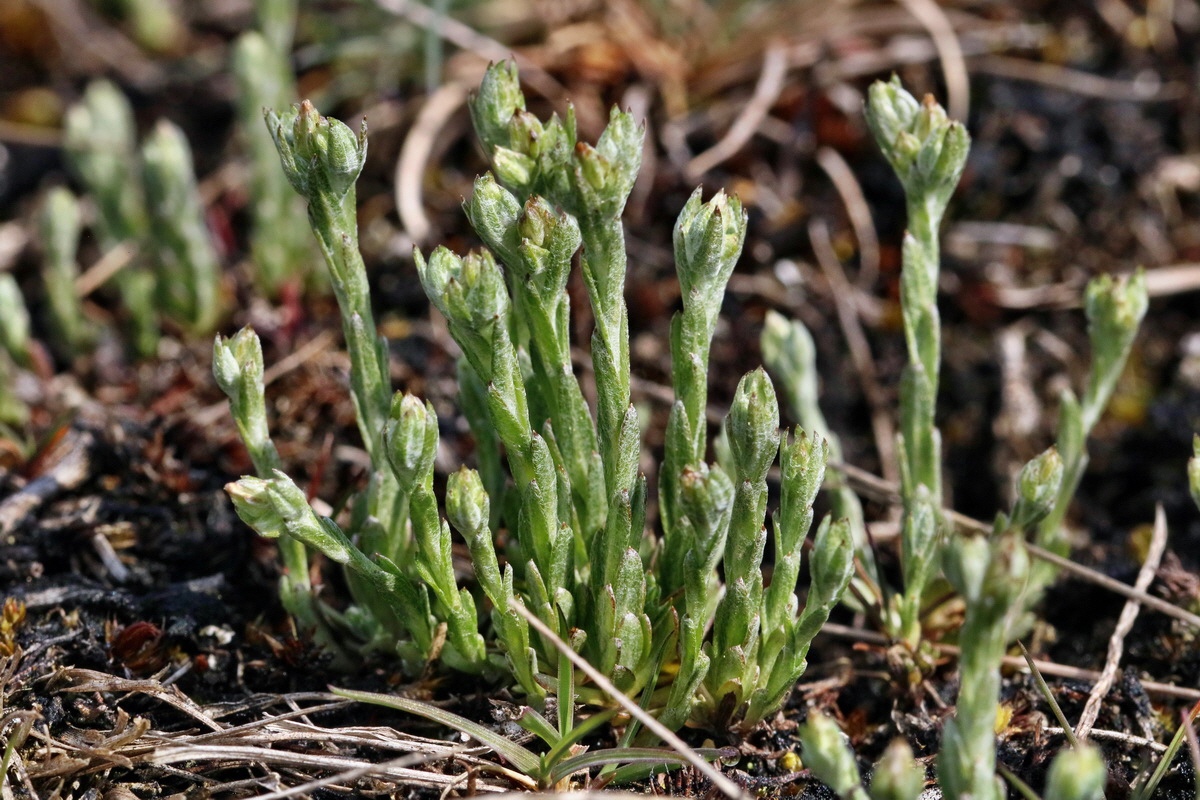 RNA_2017_05_03_2077p_Bildgr��e �ndern