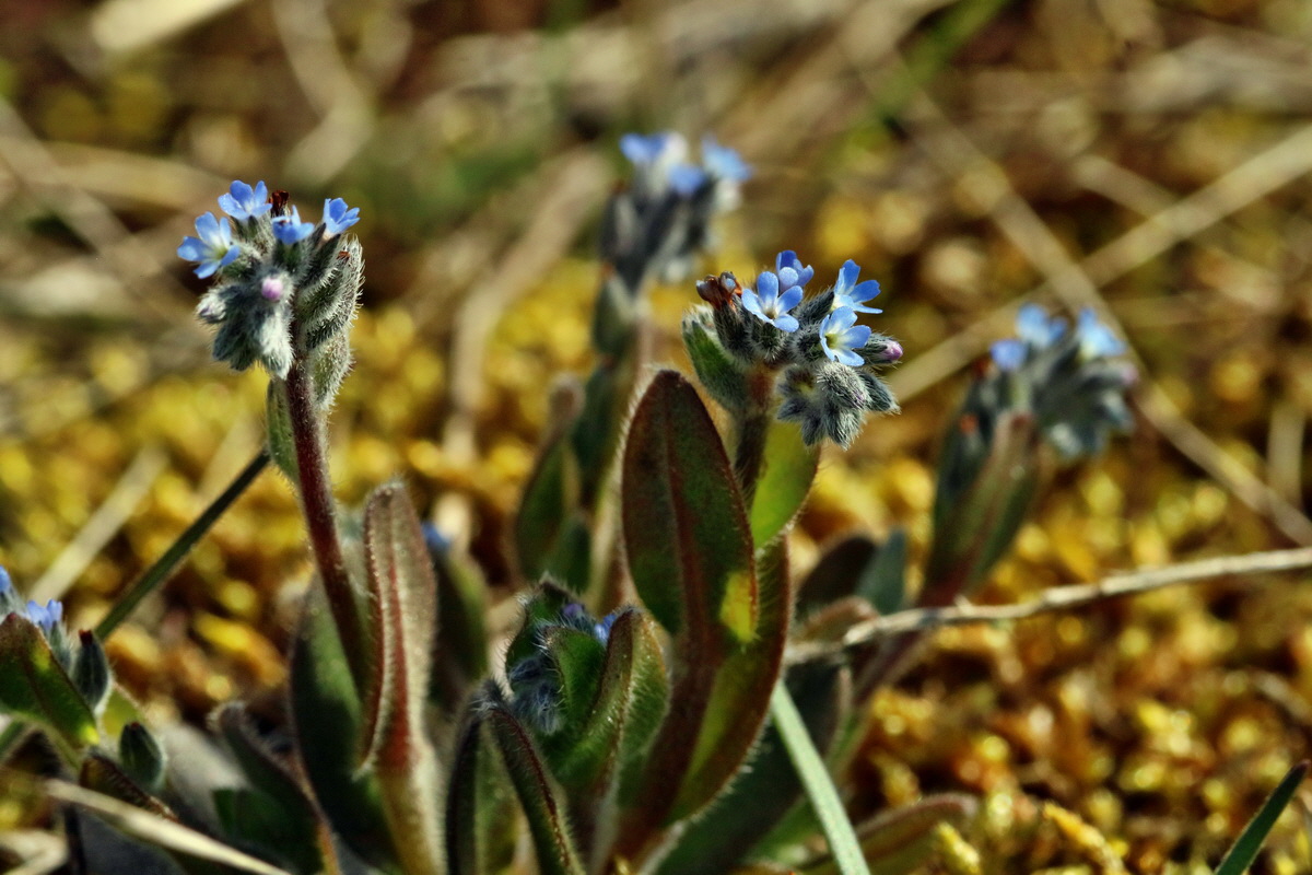 RNA_2017_05_03_2083p_Bildgr��e �ndern