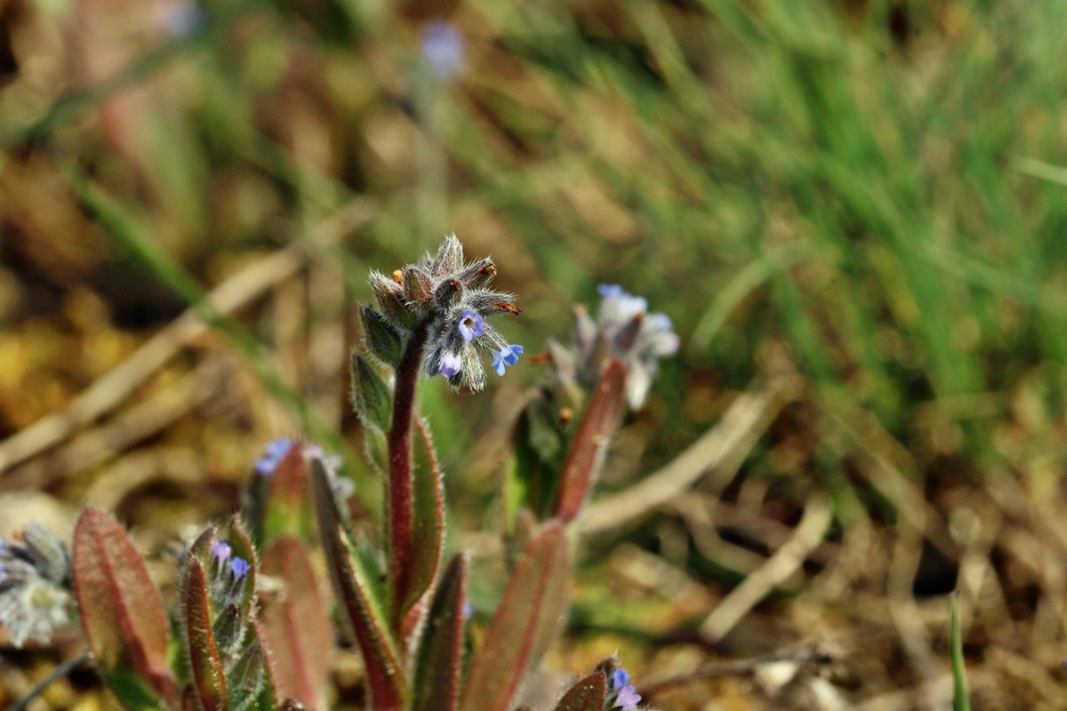 RNA_2017_05_03_2085p_Bildgr��e �ndern