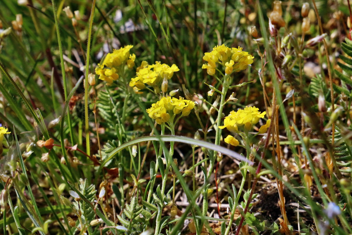 RNA_2017_05_03_2119p_Bildgr��e �ndern