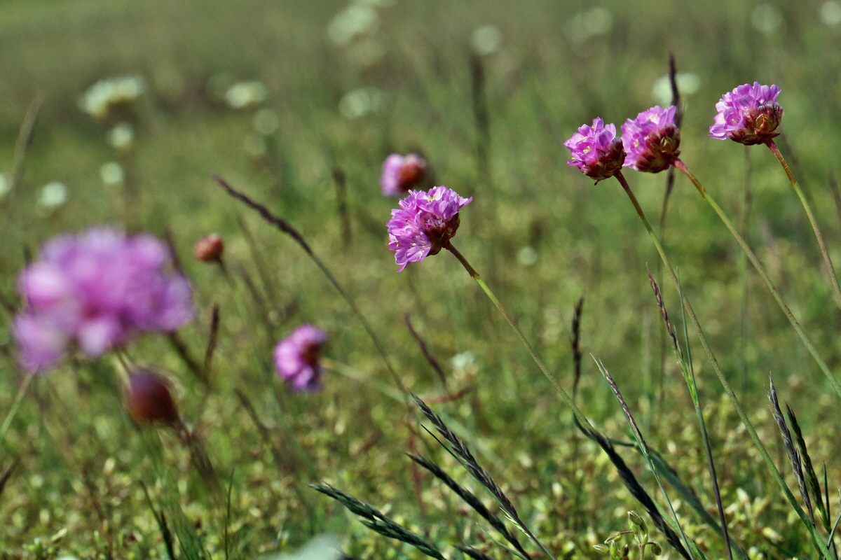 RNA_2017_05_03_2151p_Bildgr��e �ndern