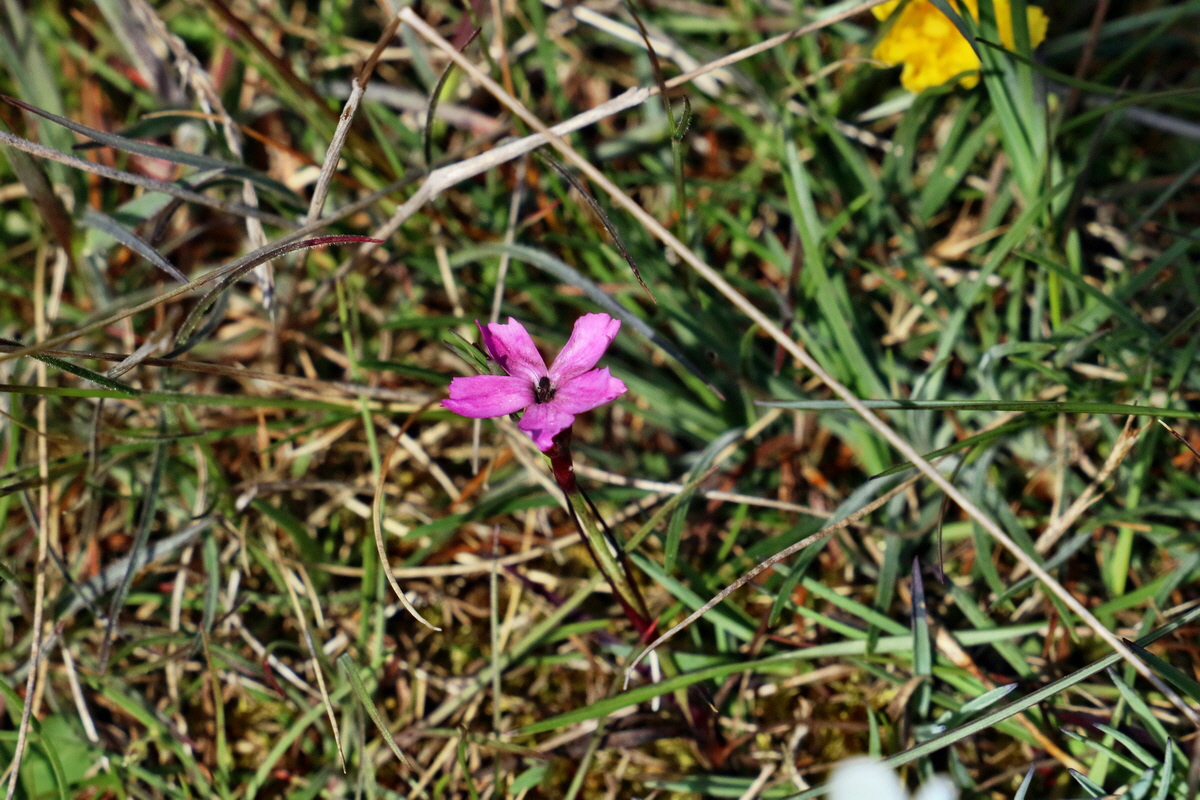 RNA_2017_05_03_2165p_Bildgr��e �ndern