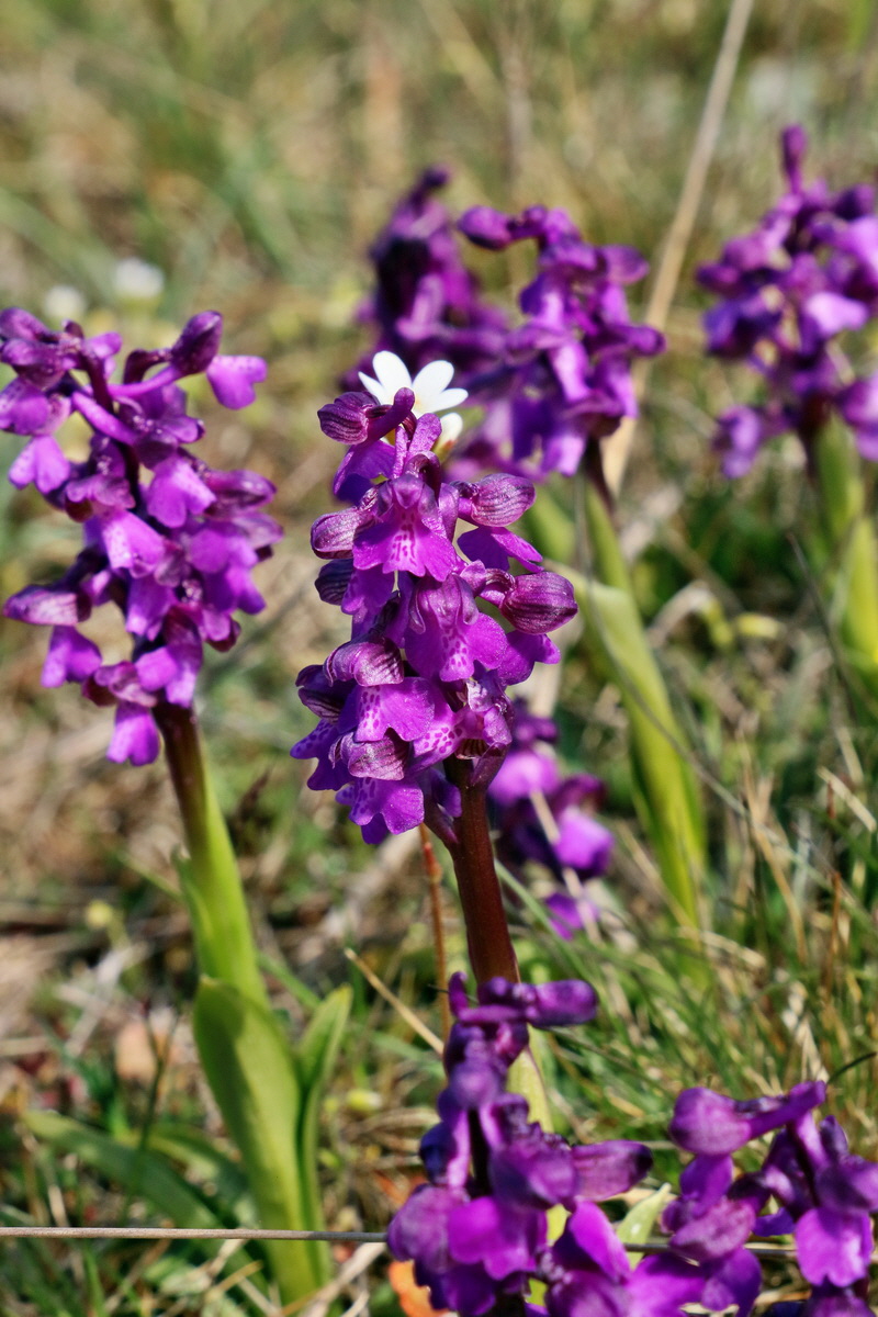 RNA_2017_05_03_2267p_Bildgr��e �ndern