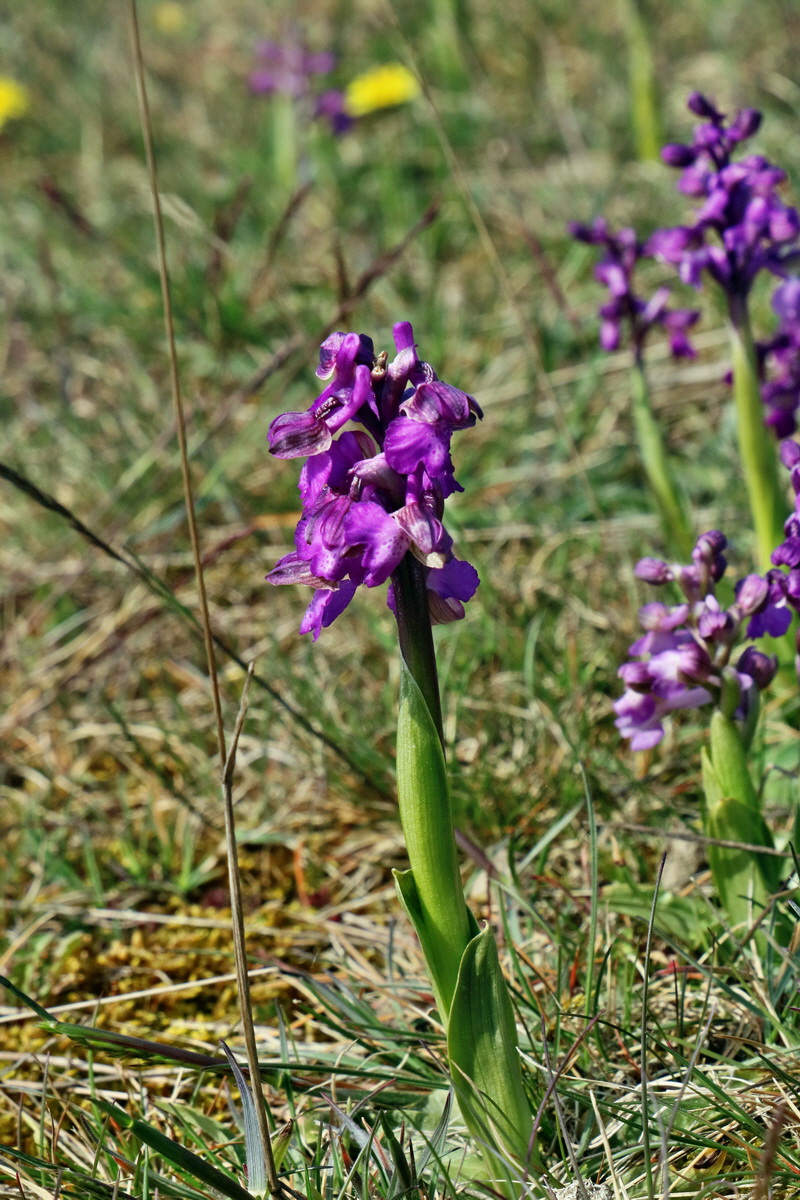 RNA_2017_05_03_2276p_Bildgr��e �ndern