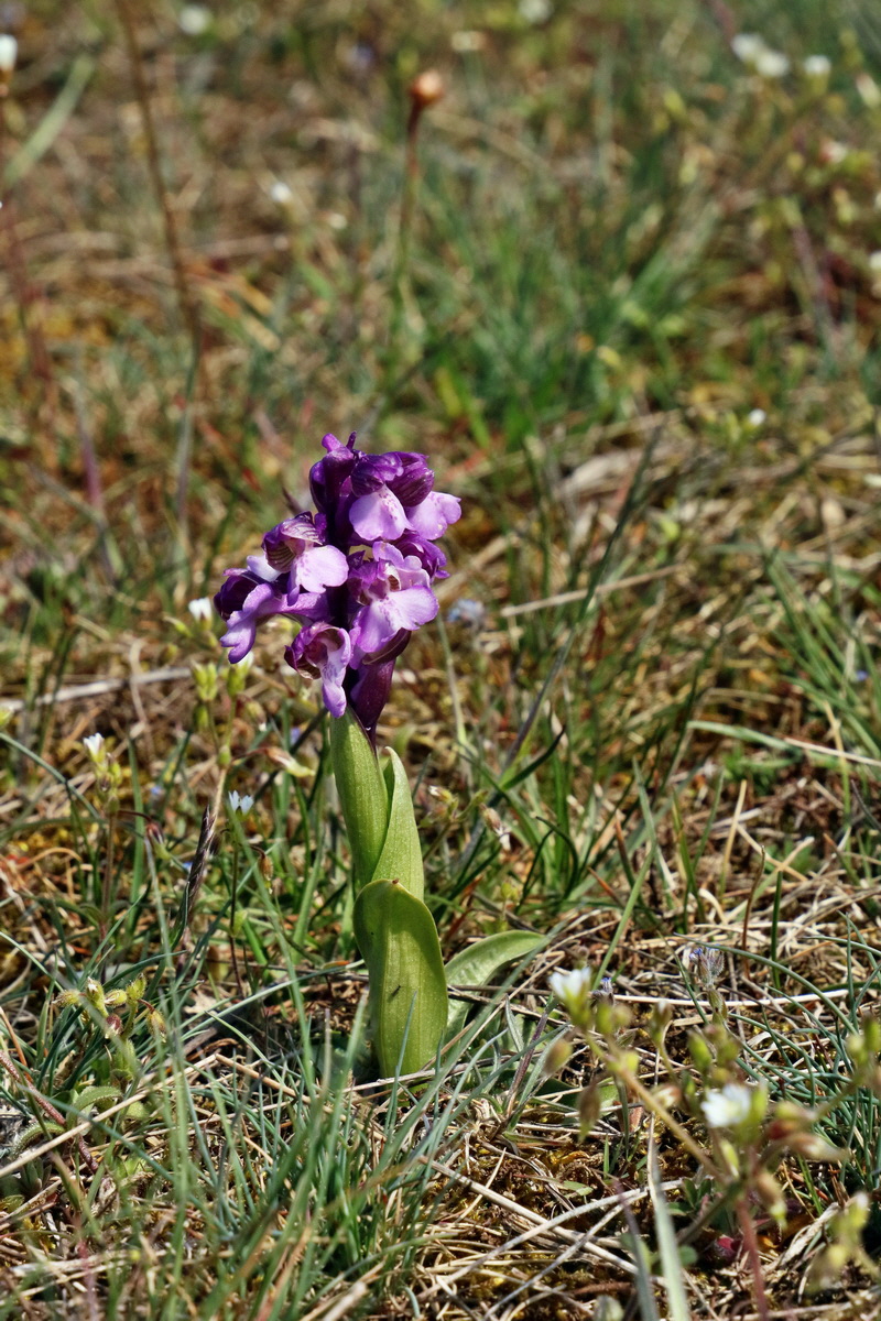 RNA_2017_05_03_2279p_Bildgr��e �ndern