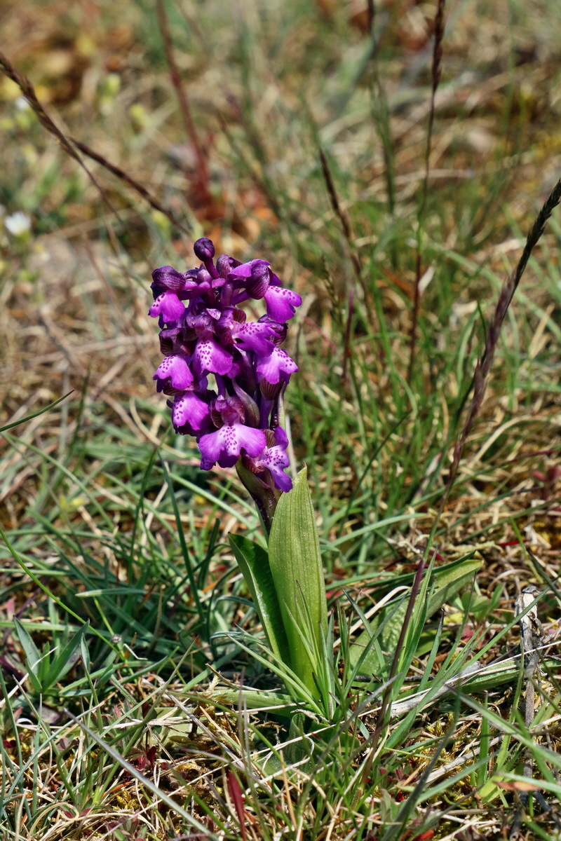 RNA_2017_05_03_2283p_Bildgr��e �ndern