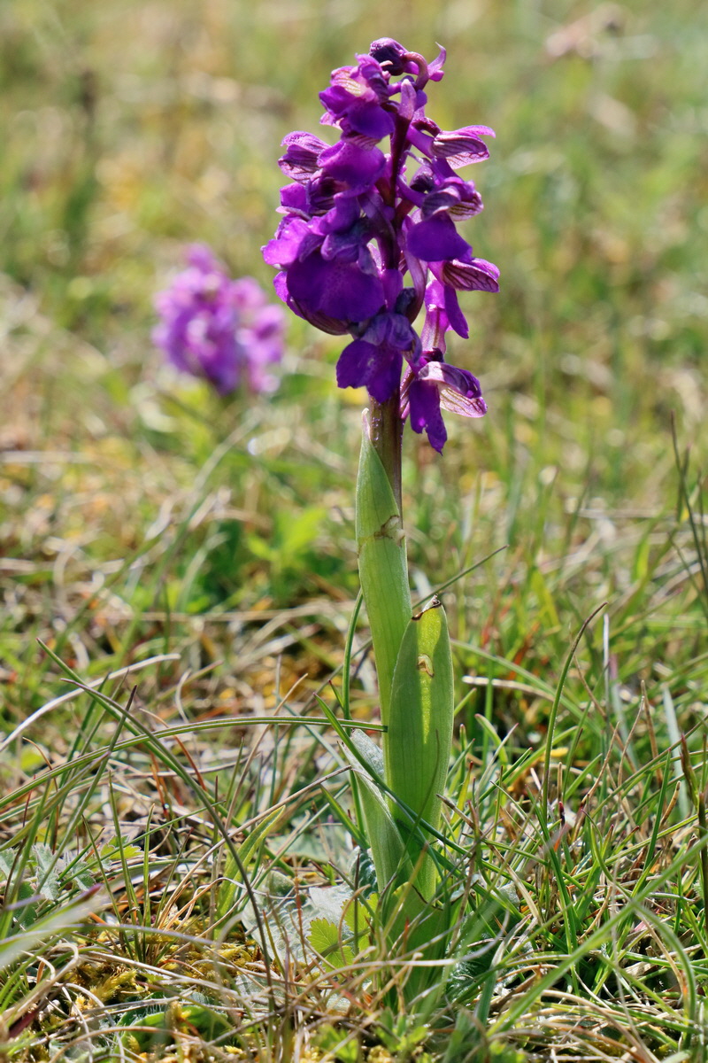 RNA_2017_05_03_2298p_Bildgr��e �ndern