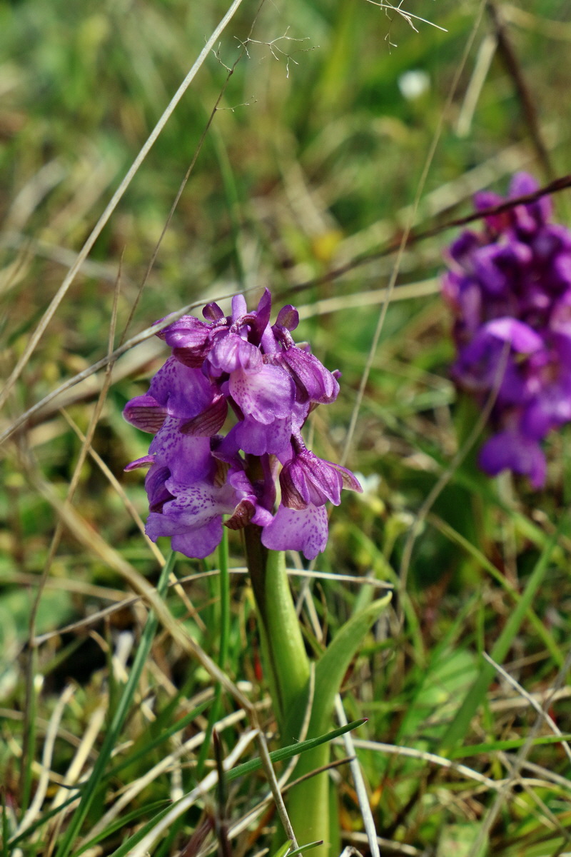 RNA_2017_05_03_2346p_Bildgr��e �ndern