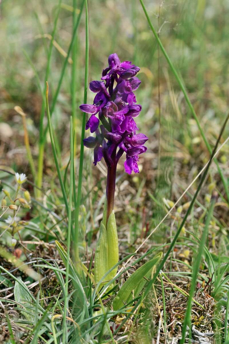 RNA_2017_05_03_2379p_Bildgr��e �ndern