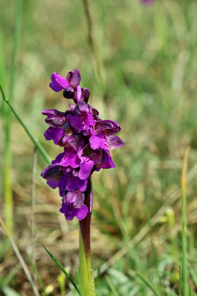 RNA_2017_05_03_2381p_Bildgr��e �ndern