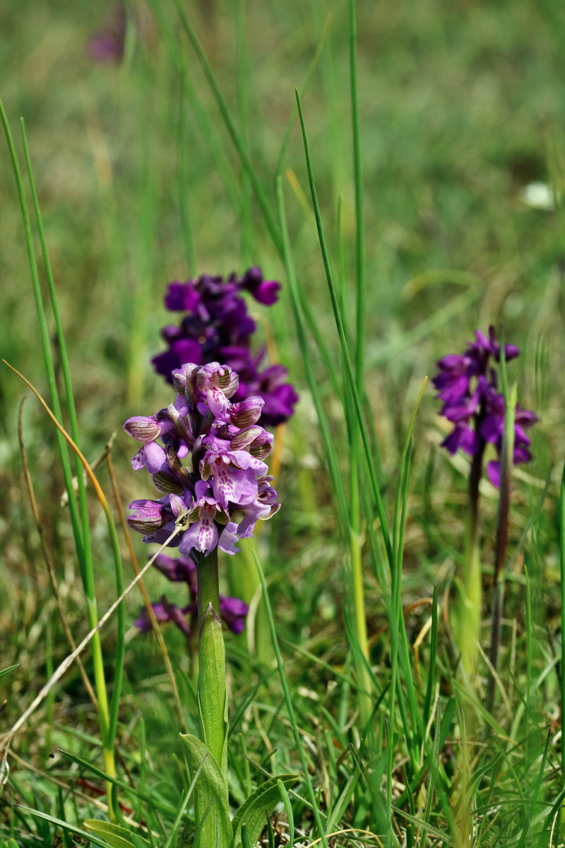 RNA_2017_05_03_2383p_Bildgr��e �ndern