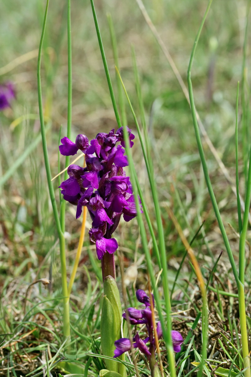 RNA_2017_05_03_2388p_Bildgr��e �ndern