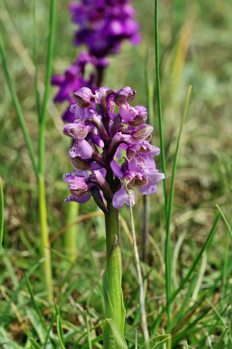 RNA_2017_05_03_2389p_Bildgr��e �ndern