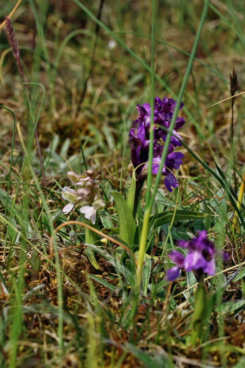 RNA_2017_05_03_2392p_Bildgr��e �ndern