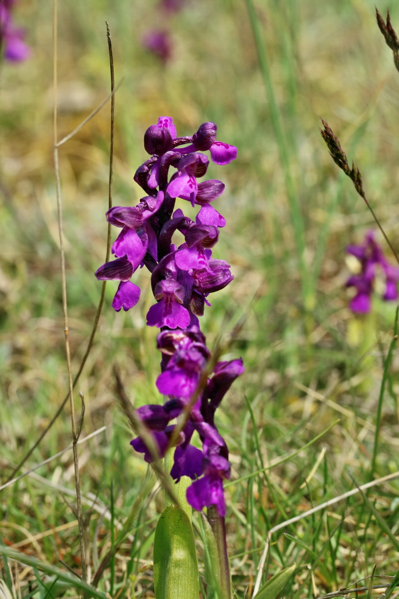 RNA_2017_05_03_2395p_Bildgr��e �ndern