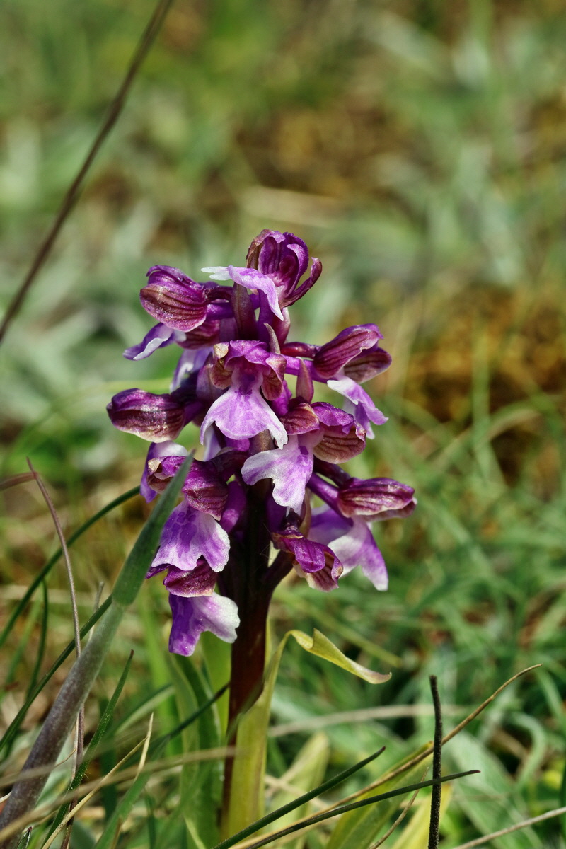 RNA_2017_05_03_2397p_Bildgr��e �ndern