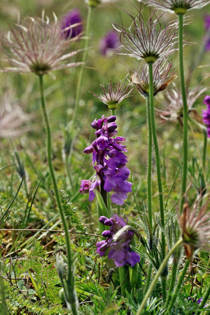 RNA_2017_05_03_2405p_Bildgr��e �ndern