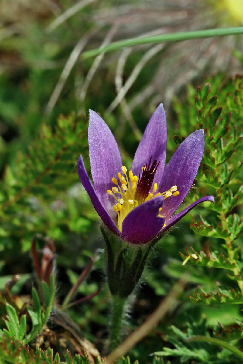 RNA_2017_05_03_2409p_Bildgr��e �ndern