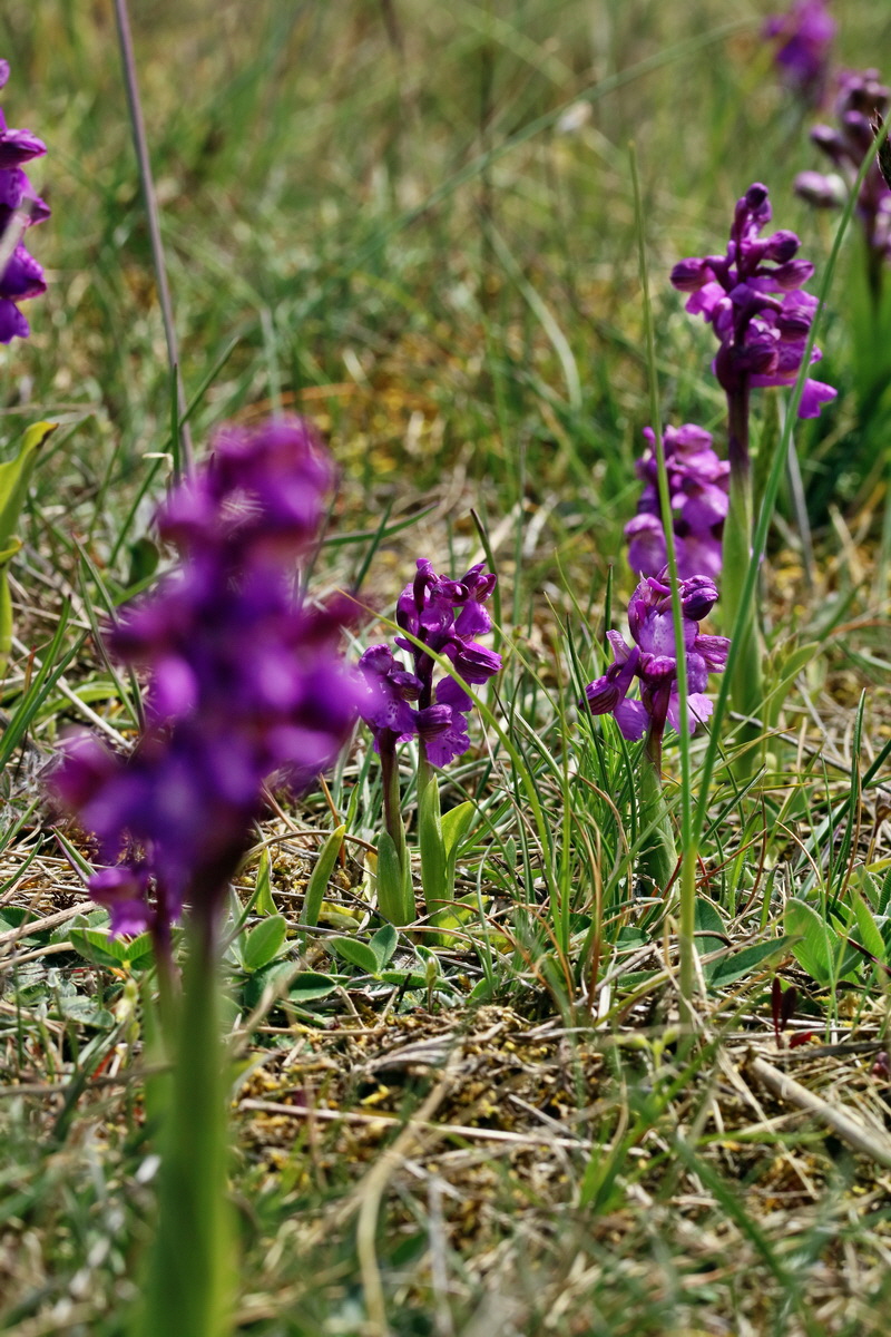 RNA_2017_05_03_2412p_Bildgr��e �ndern