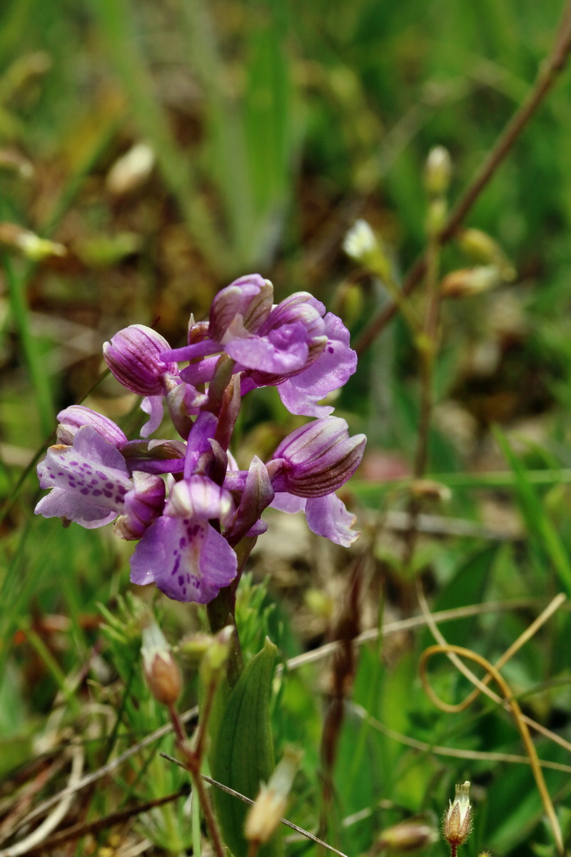 RNA_2017_05_03_2555p_Bildgr��e �ndern