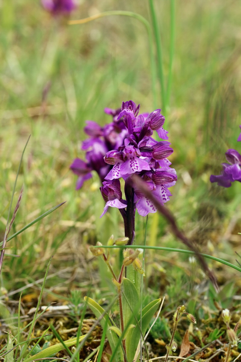 RNA_2017_05_03_2559p_Bildgr��e �ndern