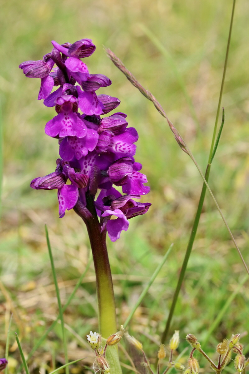 RNA_2017_05_03_2563p_Bildgr��e �ndern