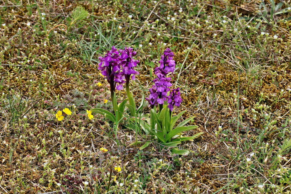 RNA_2017_05_03_2583p_Bildgr��e �ndern