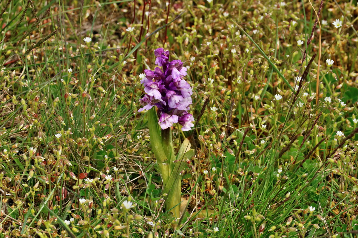 RNA_2017_05_03_2594p_Bildgr��e �ndern