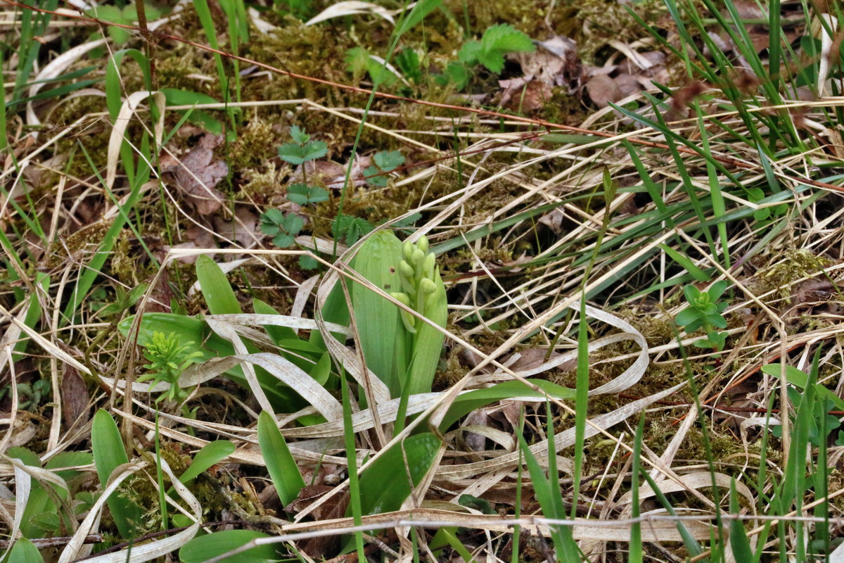 RNA-2017-04-04-00027712p_Bildgr��e �ndern