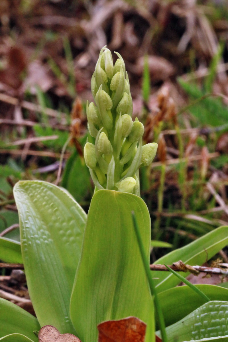 RNA-2017-04-04-00027719p_Bildgr��e �ndern