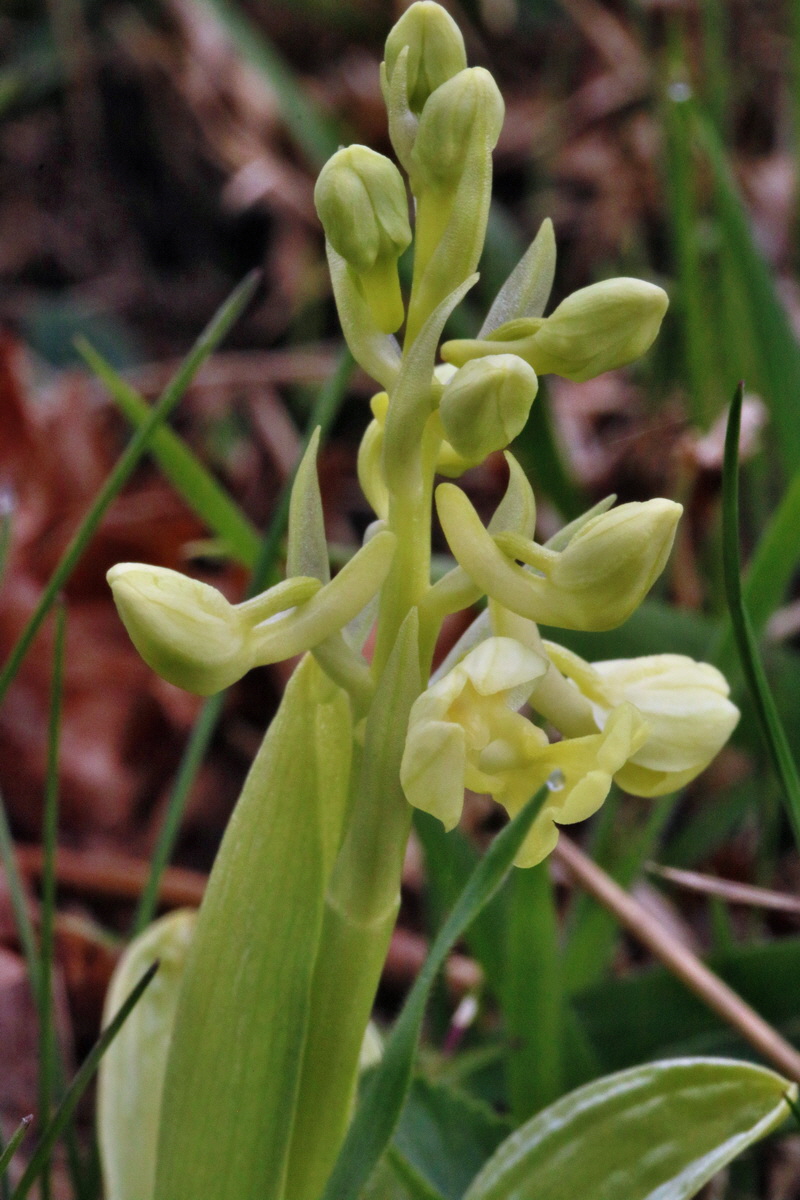 RNA-2017-04-04-00027723p_Bildgr��e �ndern