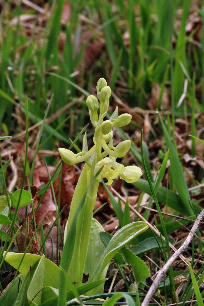 RNA-2017-04-04-00027725p_Bildgr��e �ndern