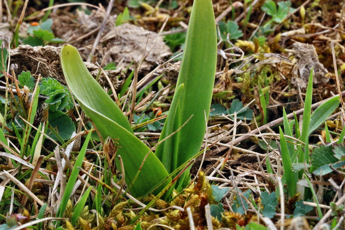 RNA-2017-04-04-00027738p_Bildgr��e �ndern