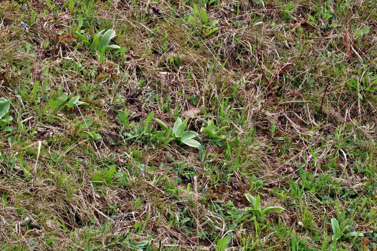 RNA-2017-04-04-00027740p_Bildgr��e �ndern