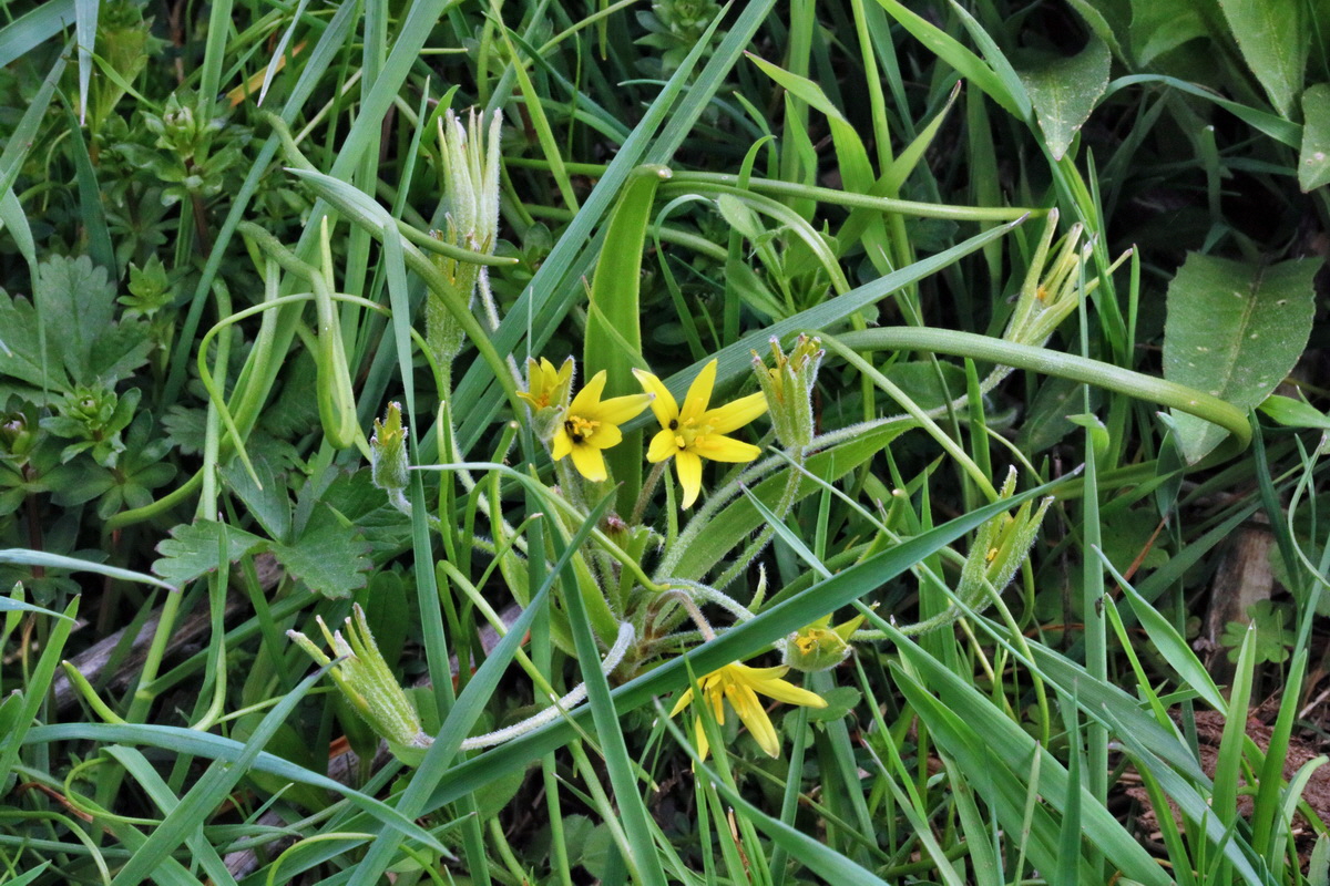 RNA-2017-04-04-00027751p_Bildgr��e �ndern