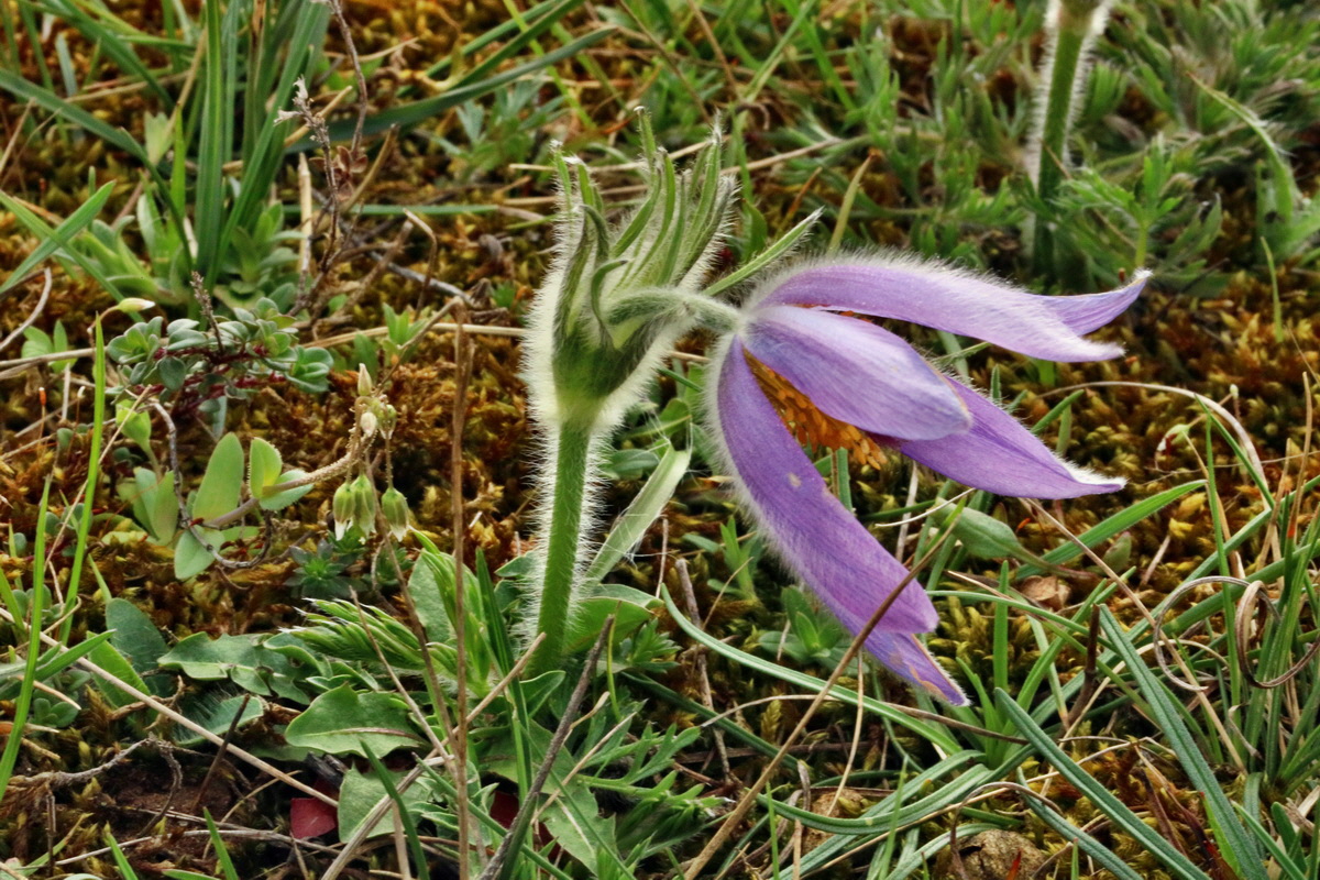 RNA-2017-04-04-00027759p_Bildgr��e �ndern