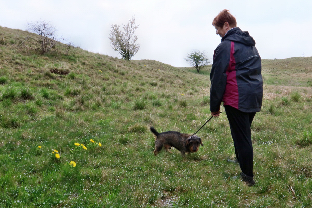 RNA-2017-04-04-00027779p_Bildgr��e �ndern