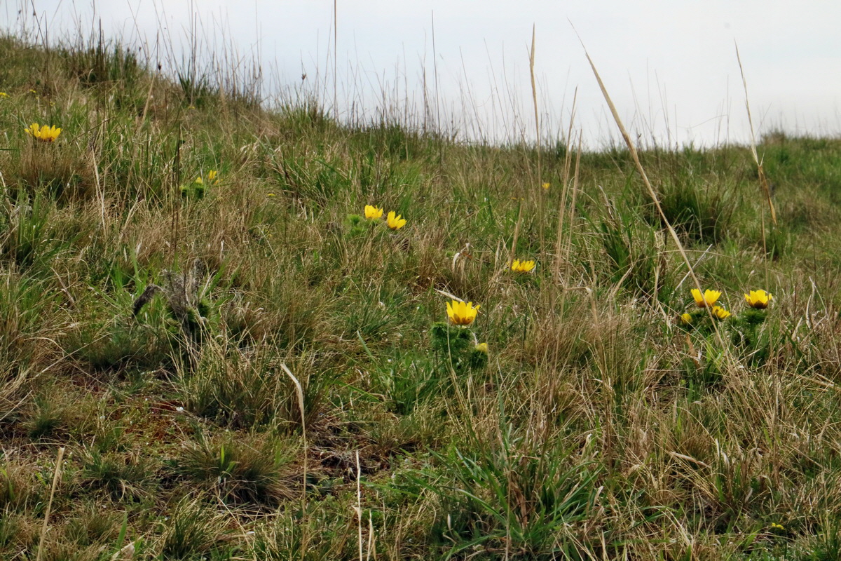 RNA-2017-04-04-00027789p_Bildgr��e �ndern