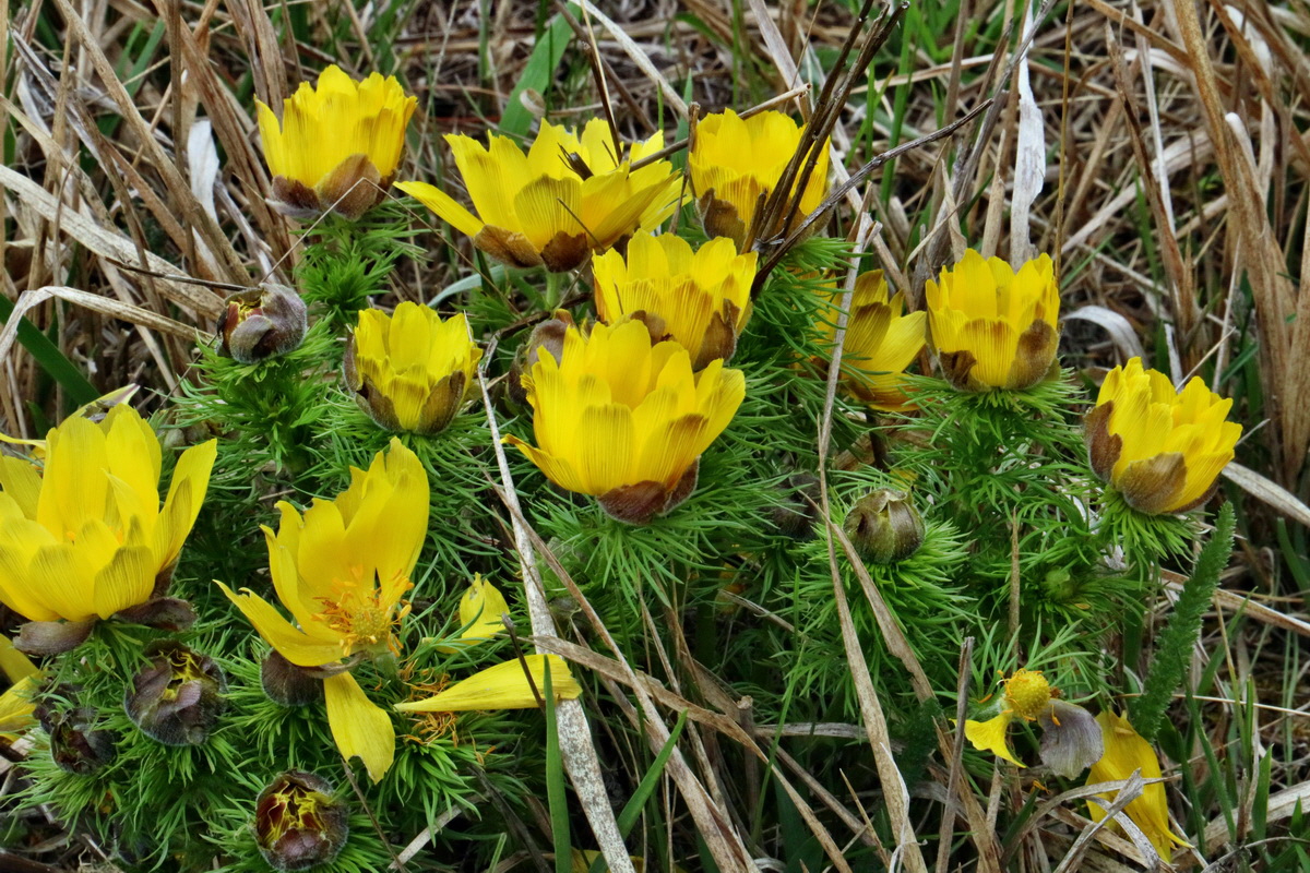 RNA-2017-04-04-00027792p_Bildgr��e �ndern