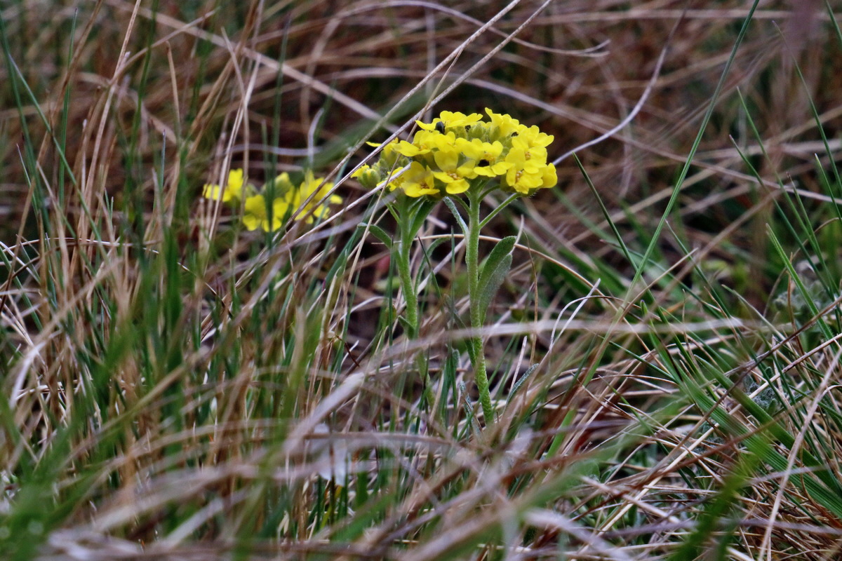 RNA-2017-04-04-00027797p_Bildgr��e �ndern