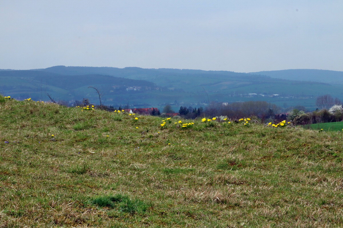 RNA-2017-04-04-00027804p_Bildgr��e �ndern