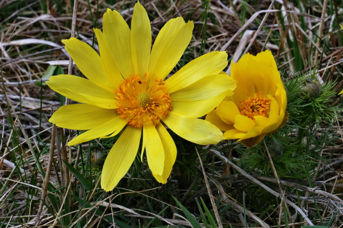 RNA-2017-04-04-00027806p_Bildgr��e �ndern