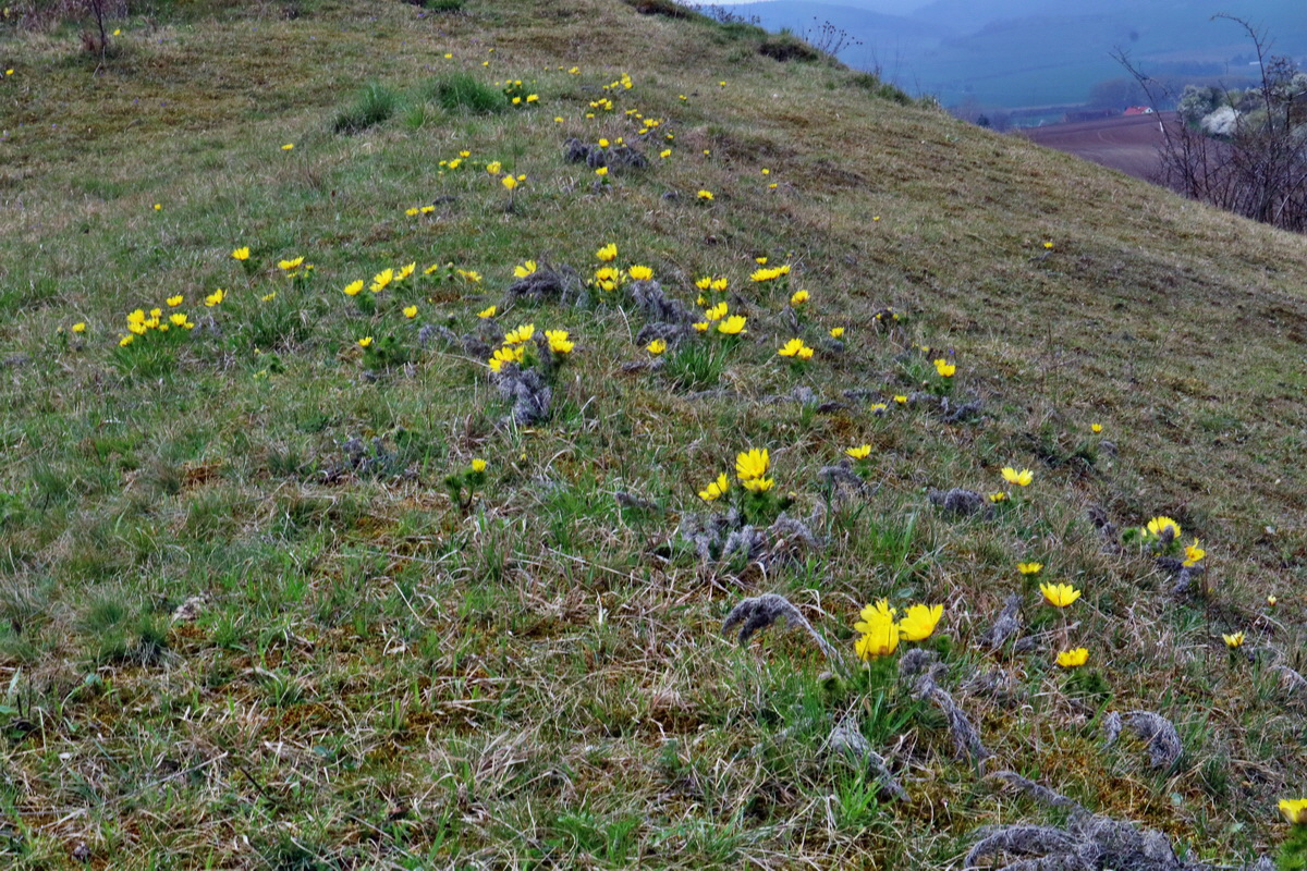 RNA-2017-04-04-00027809p_Bildgr��e �ndern