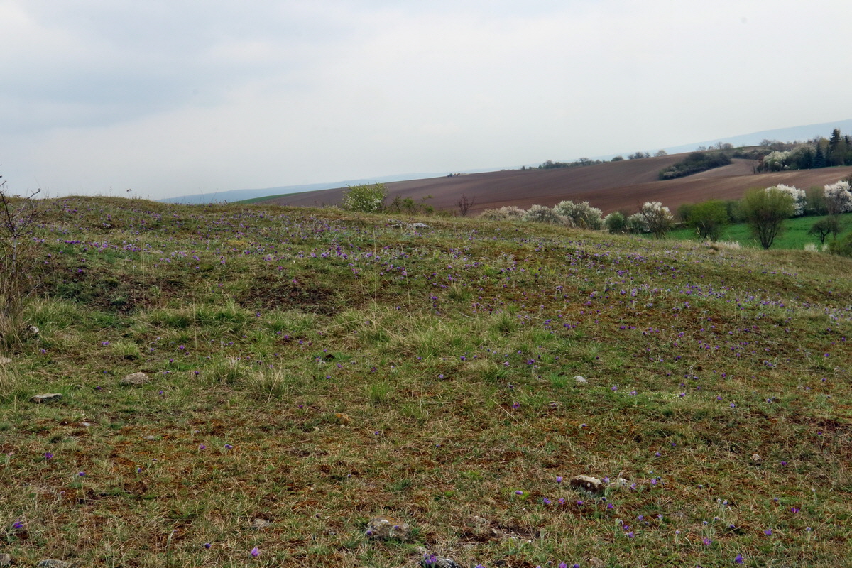 RNA-2017-04-04-00027816p_Bildgr��e �ndern