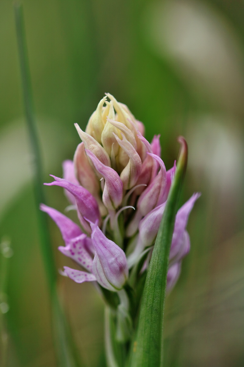 RNA_2017_05_06_2681p_Bildgr��e �ndern