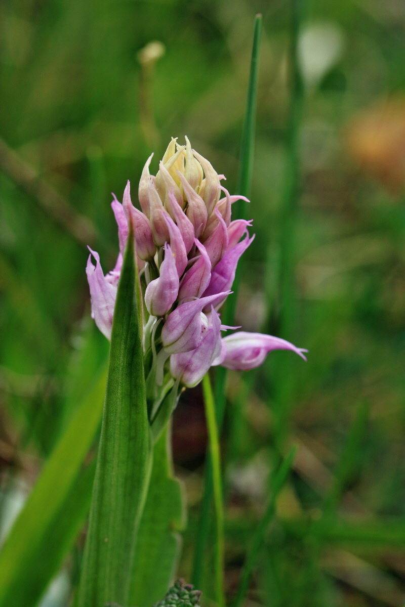 RNA_2017_05_06_2689p_Bildgr��e �ndern