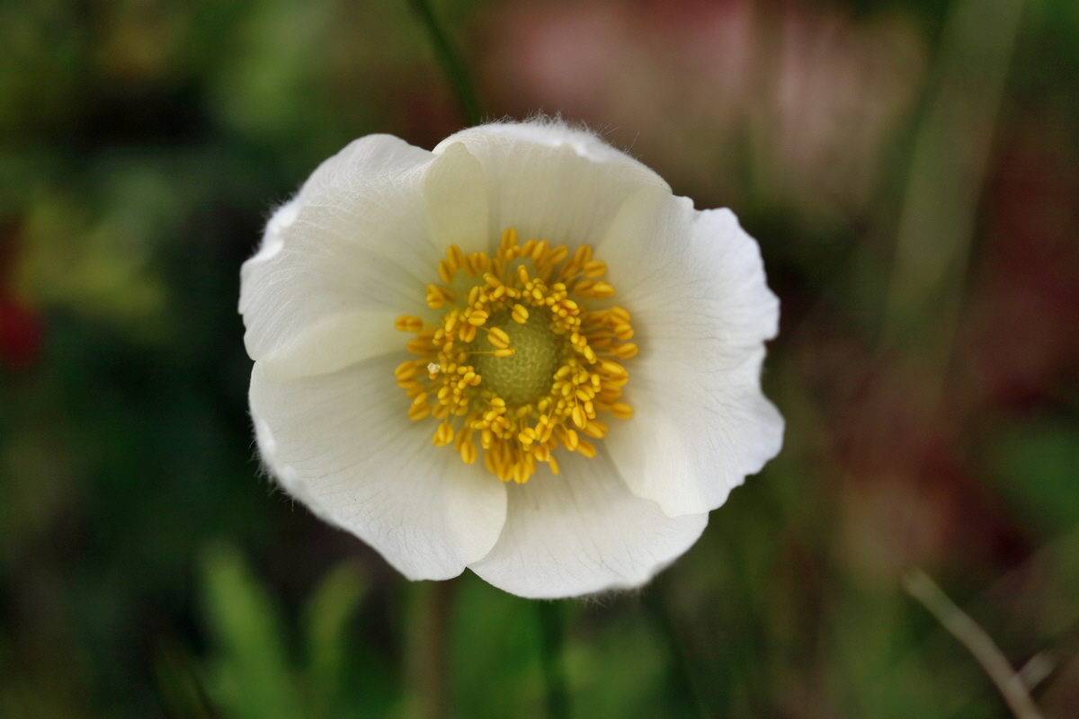 RNA_2017_05_06_2718p_Bildgr��e �ndern