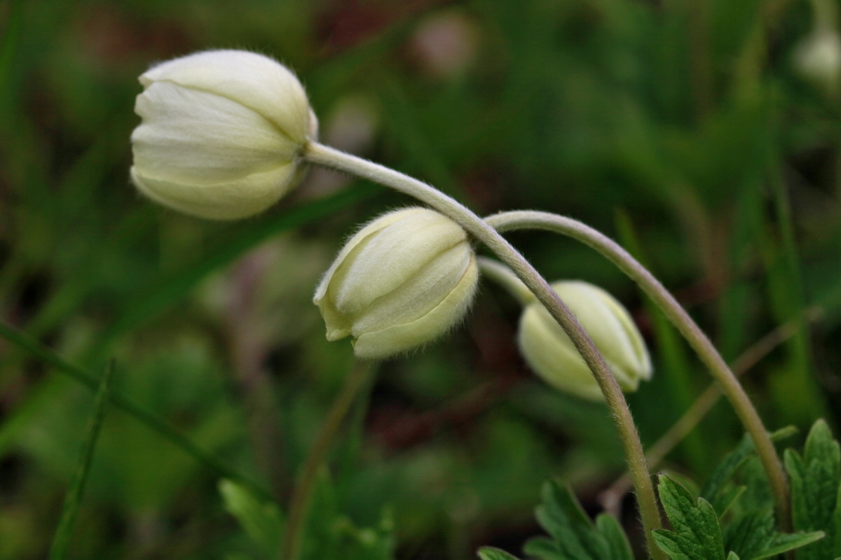 RNA_2017_05_06_2723p_Bildgr��e �ndern