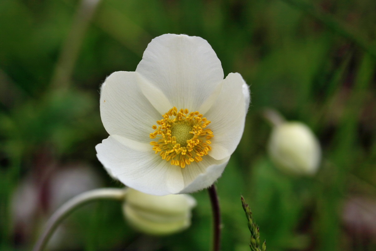 RNA_2017_05_06_2726p_Bildgr��e �ndern