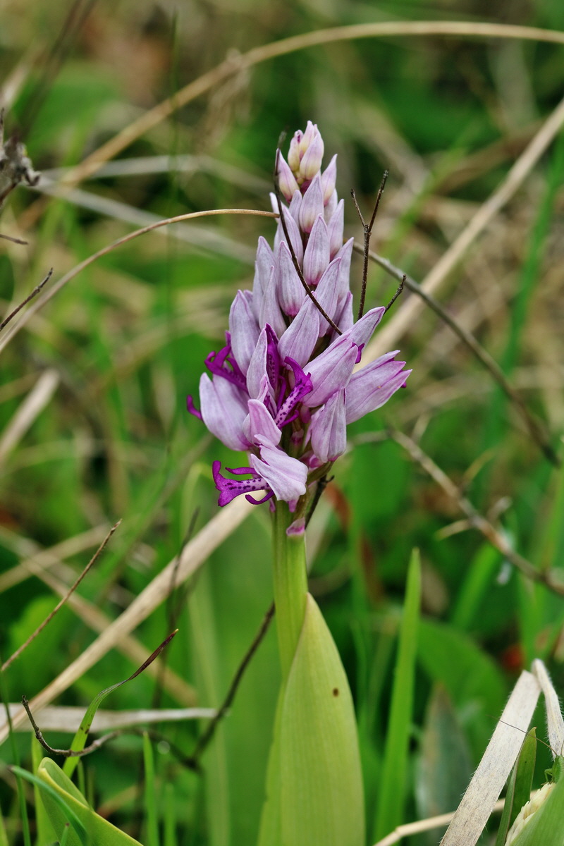 RNA_2017_05_06_2737p_Bildgr��e �ndern